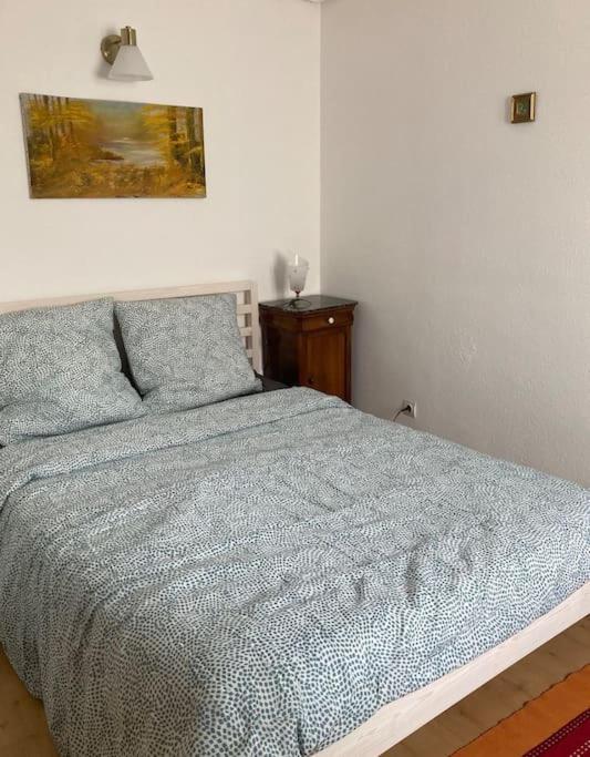 Tango Appartement De Charme Calme 75M2 6 Personnes Mulhouse Eksteriør bilde